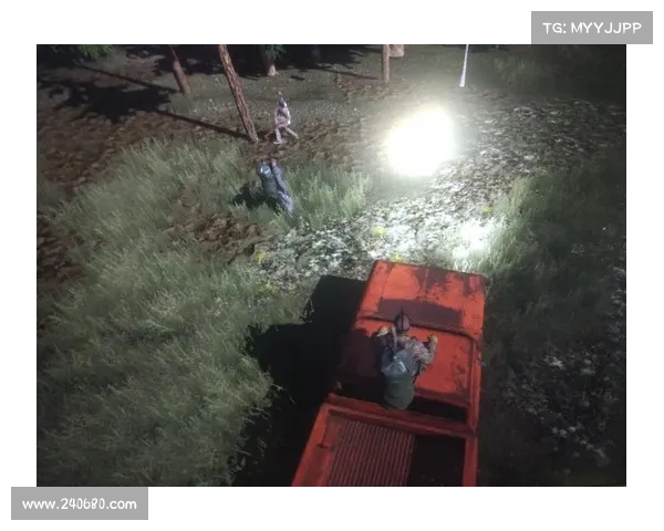 误造手游 误造手游